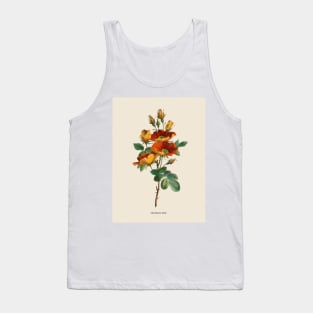 Austrian Rose Antique Botanical Illustration Tank Top